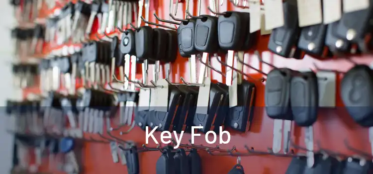  Key Fob 